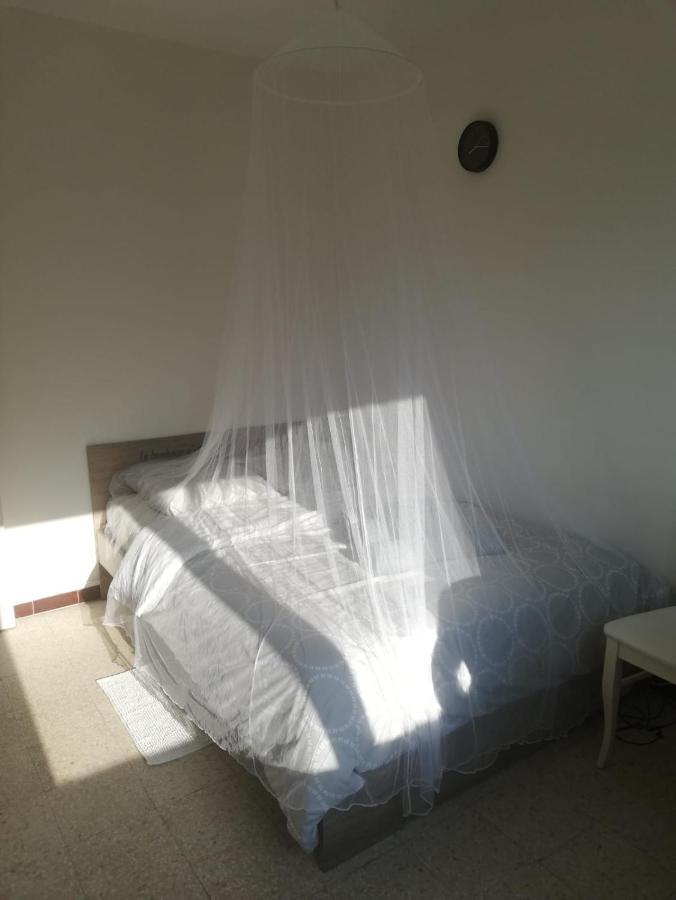 Privat overnatting D'hotes Paisible Nice